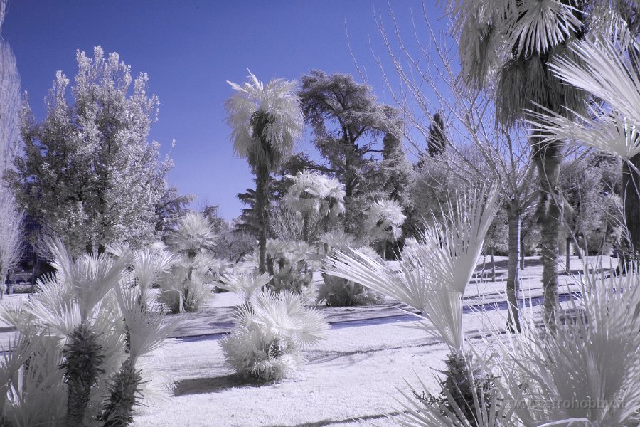 Infrarosso Aps-c Ir720nm Fuji - immagine 2
