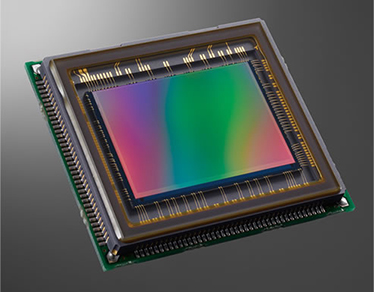 Full Spectrum Full Frame Canon solo rimozione